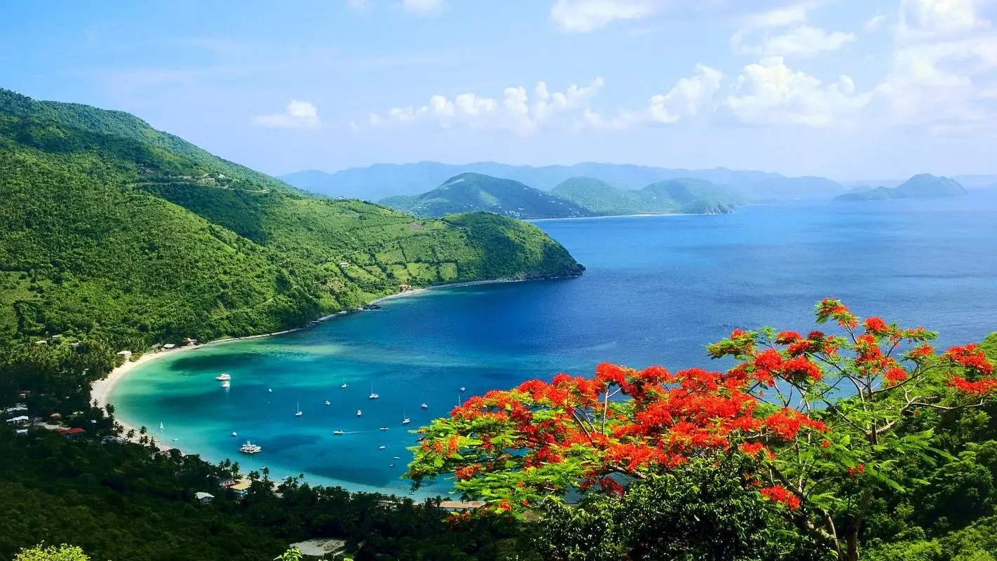 高效节能独特